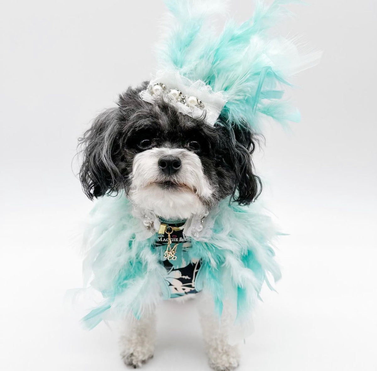 Haute: Bliss