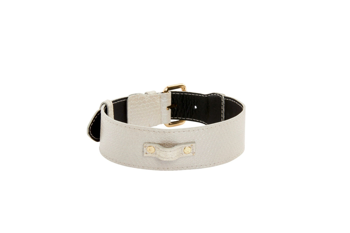 Allysa Payne Iridescent Off White Snake Dog Collar With Gold Classic Hardware