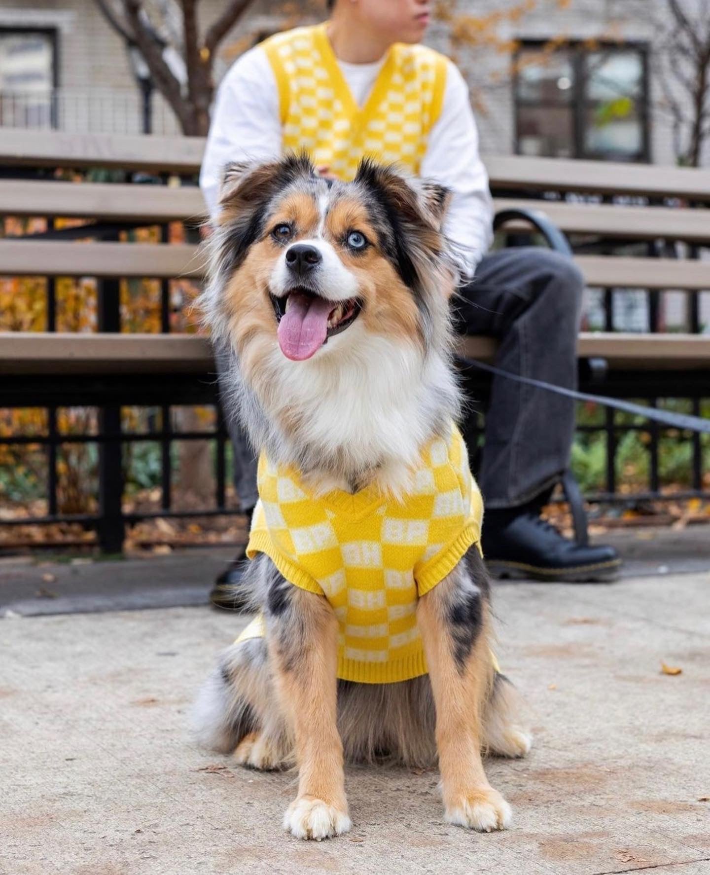 BESPOKE PAWS BP X BH Check Sweater vest - Cotton Recycled Warm Cozy Sweaters
