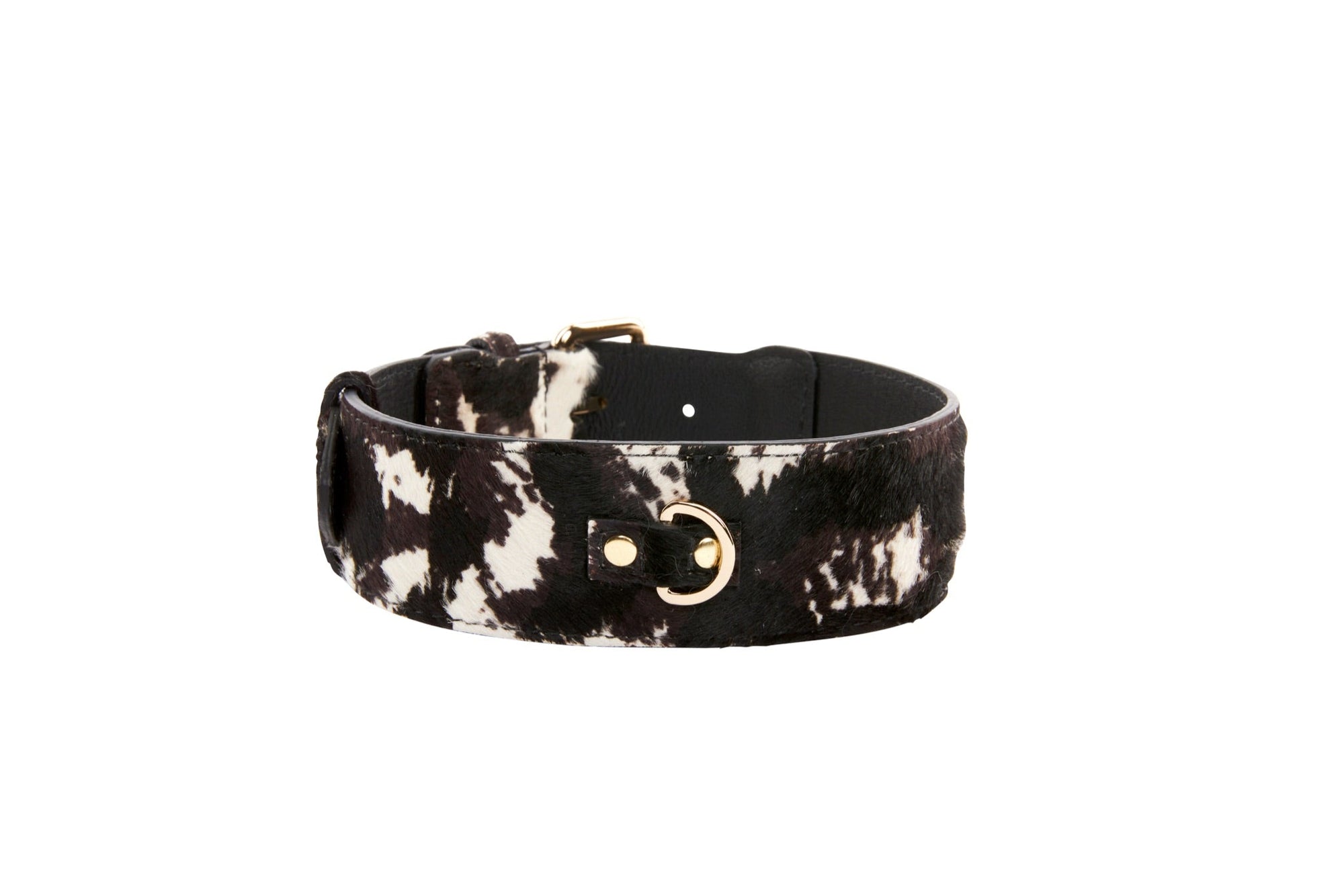 Allysa Payne Brown, Black & White Hair On Hide Dog Collar With Classic Gold Hardware