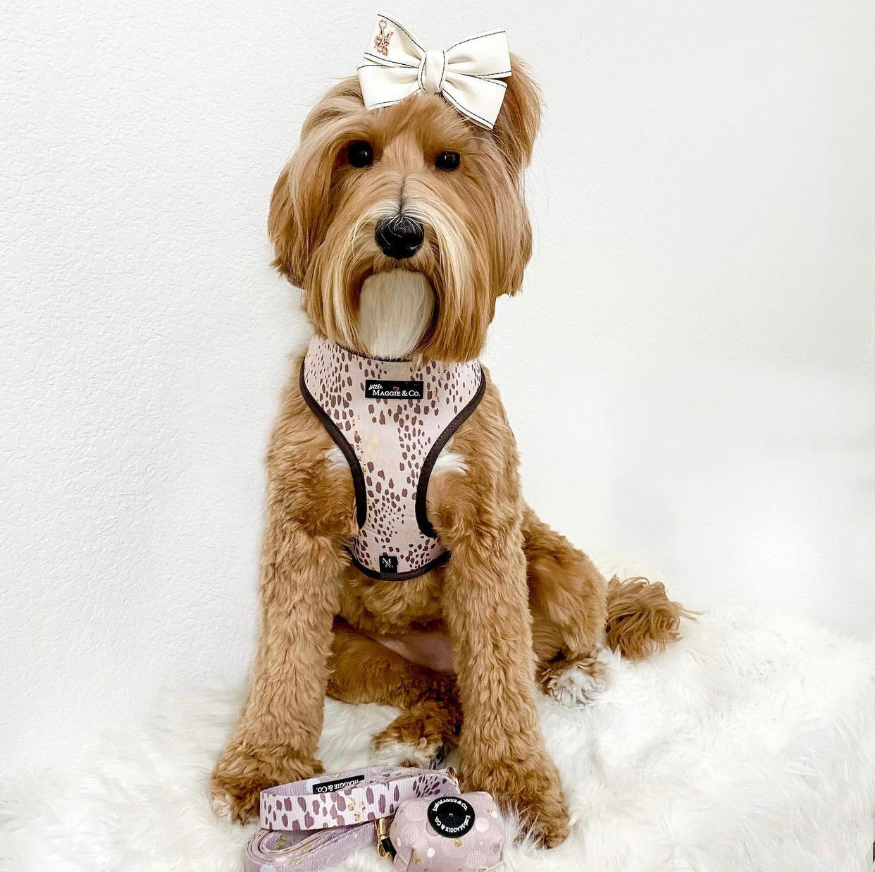 Essential Bundle: Cosmic