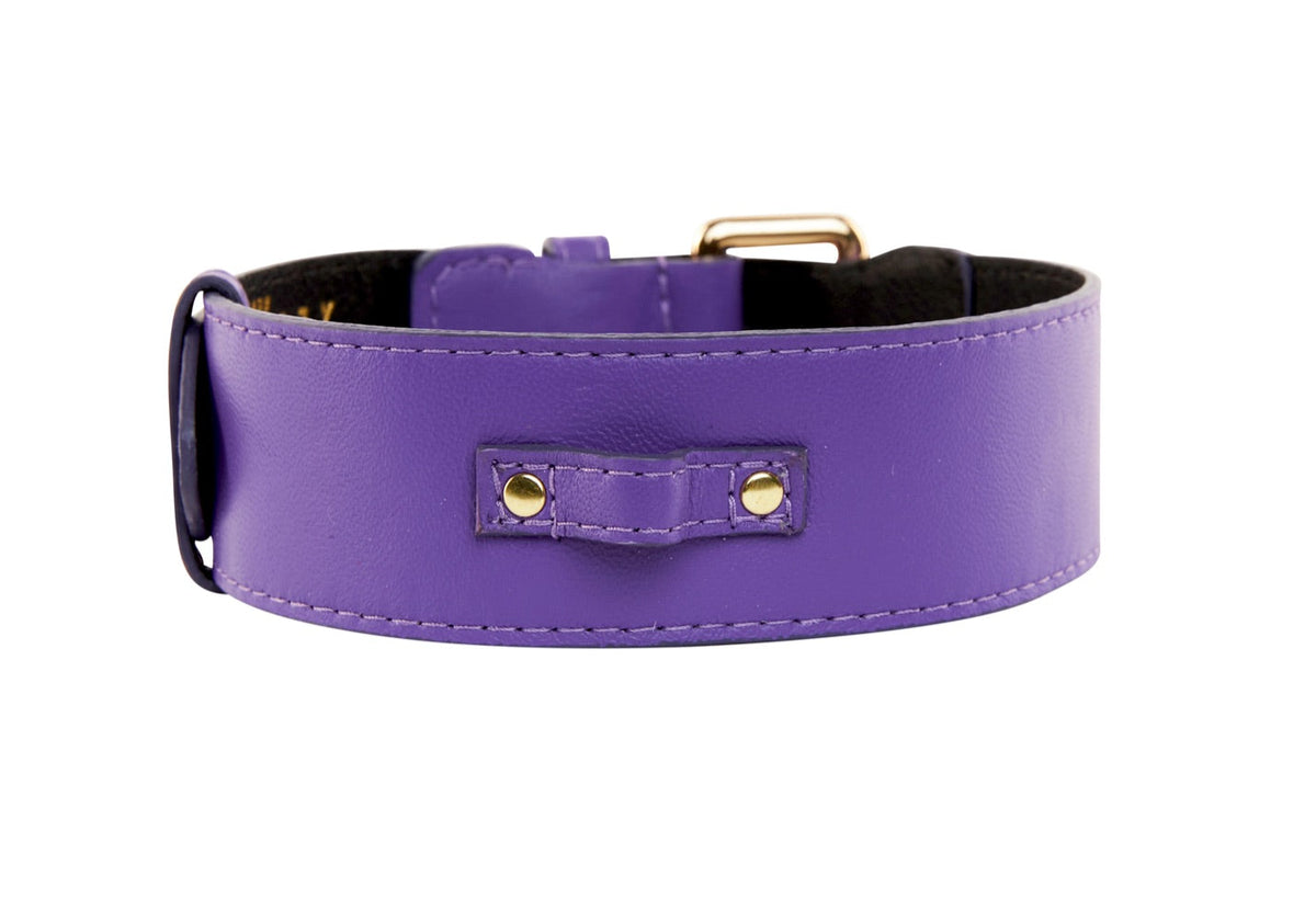 Allysa Payne Purple Italian Leather Classic Dog Collar