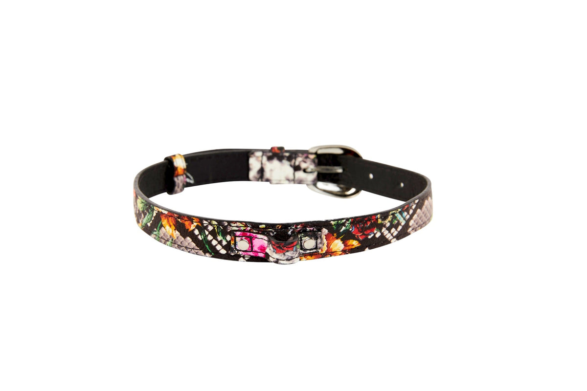 Allysa Payne Floral, Scull, Snake Print Italian Leather Dog Collar With Silver Oval Hardware
