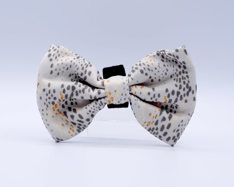 Pawfect Beauty Bow Tie