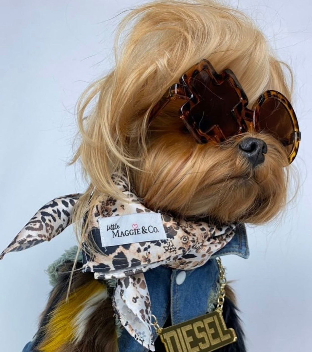 Classics: On the Prowl