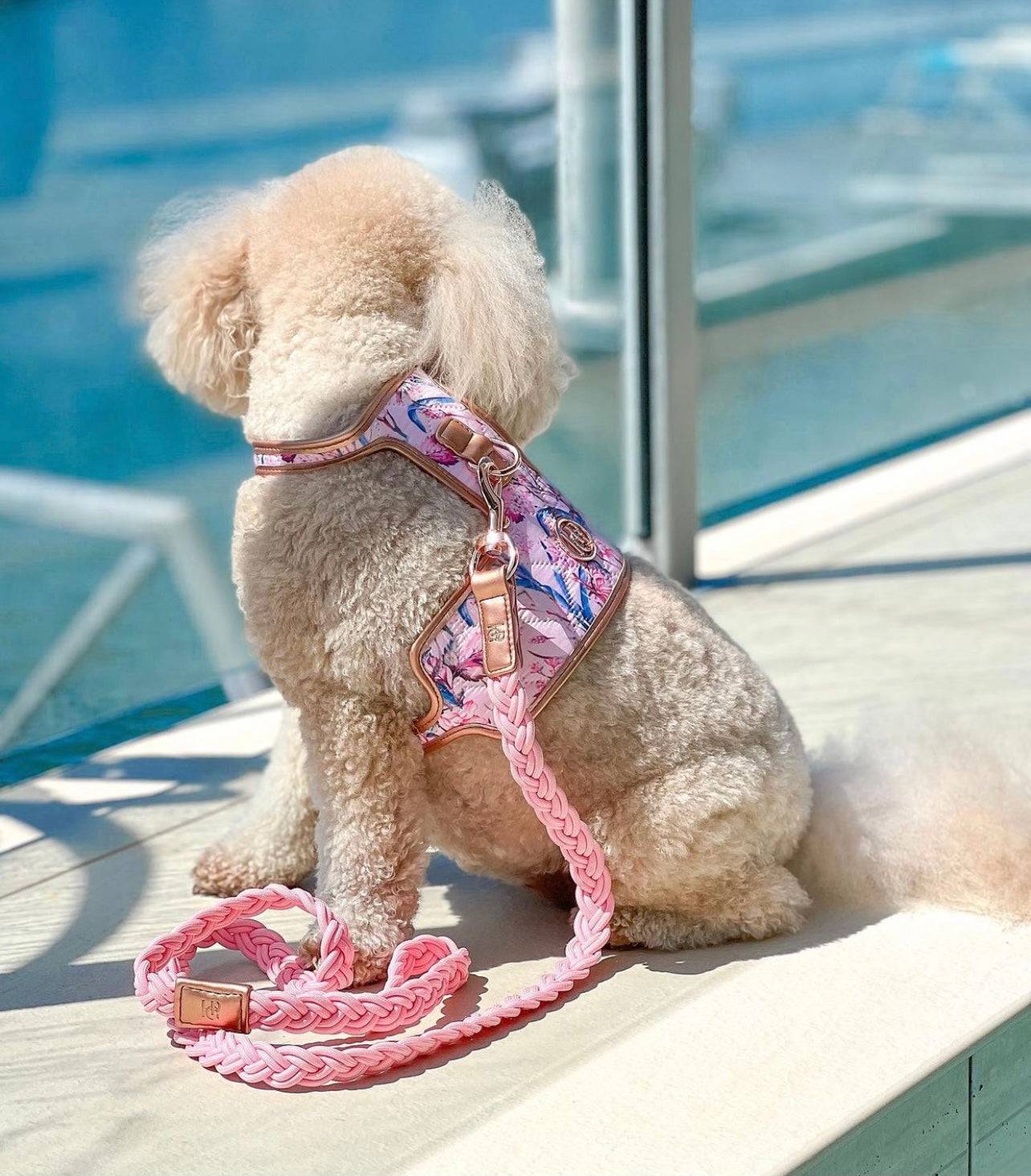 The Lady Dog Harness