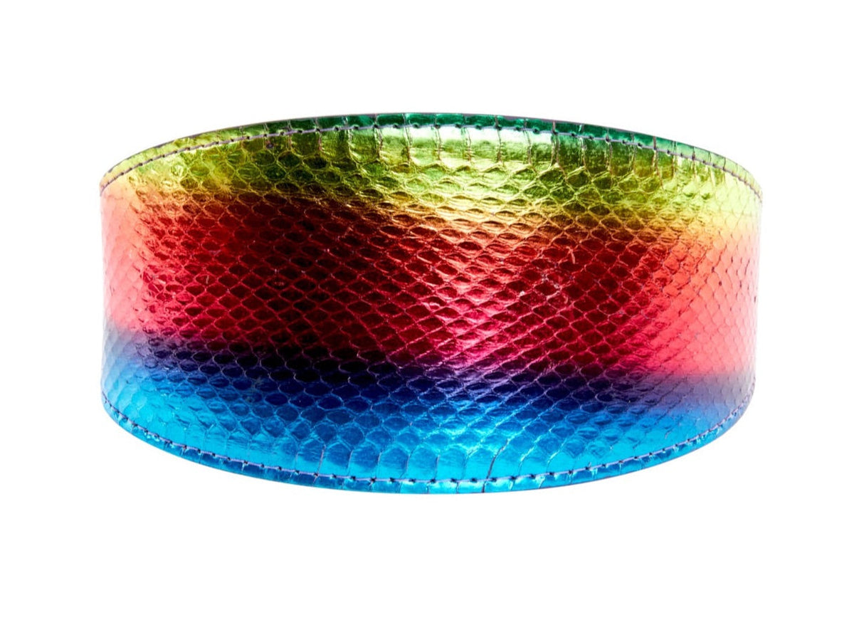 Allysa Payne Pride Collection. Rainbow Snake 3-Inch Wide Style Dog Collar
