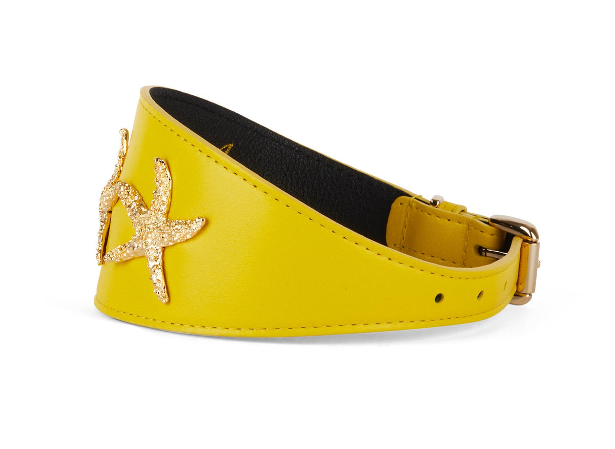 Allysa Payne Smooth Yellow Italian Leather 3-Inch Wide Style Dog Collar With Custom Gold Starfish