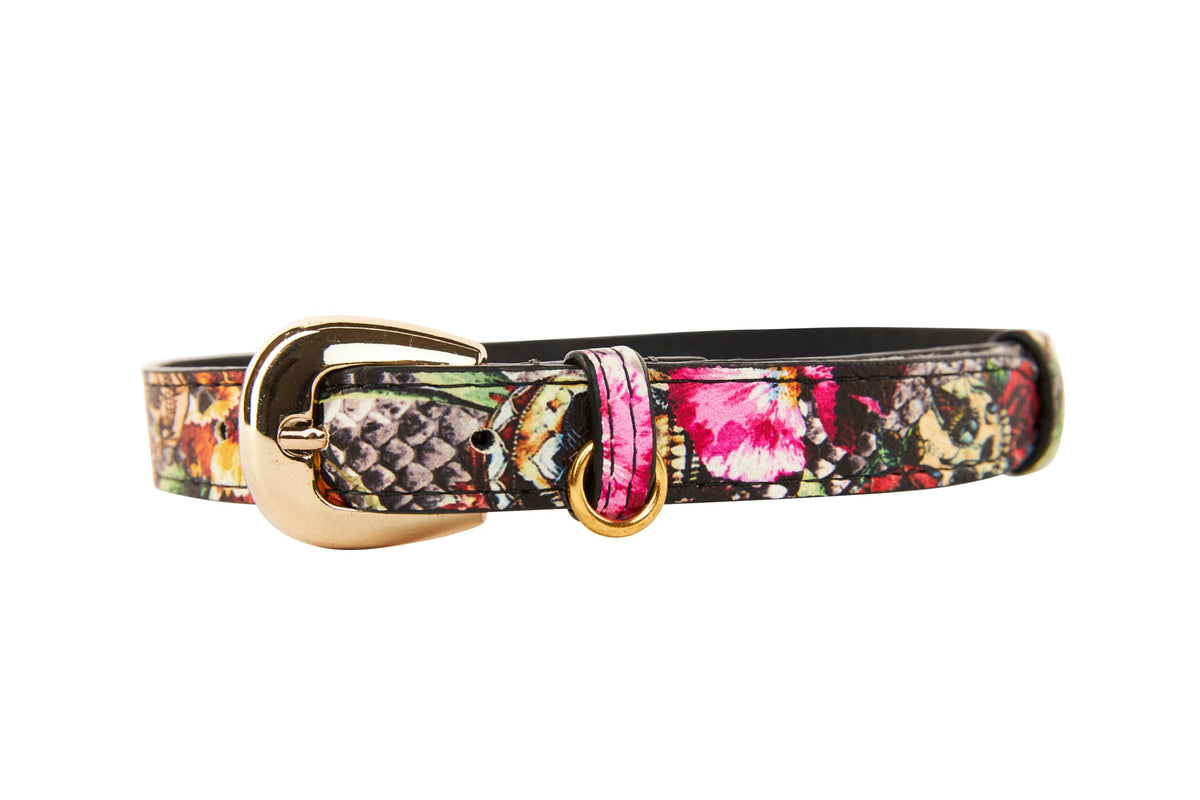 Allysa Payne Floral, Scull, Snake Print Italian Leather Dog Collar With Gold Oval Hardware