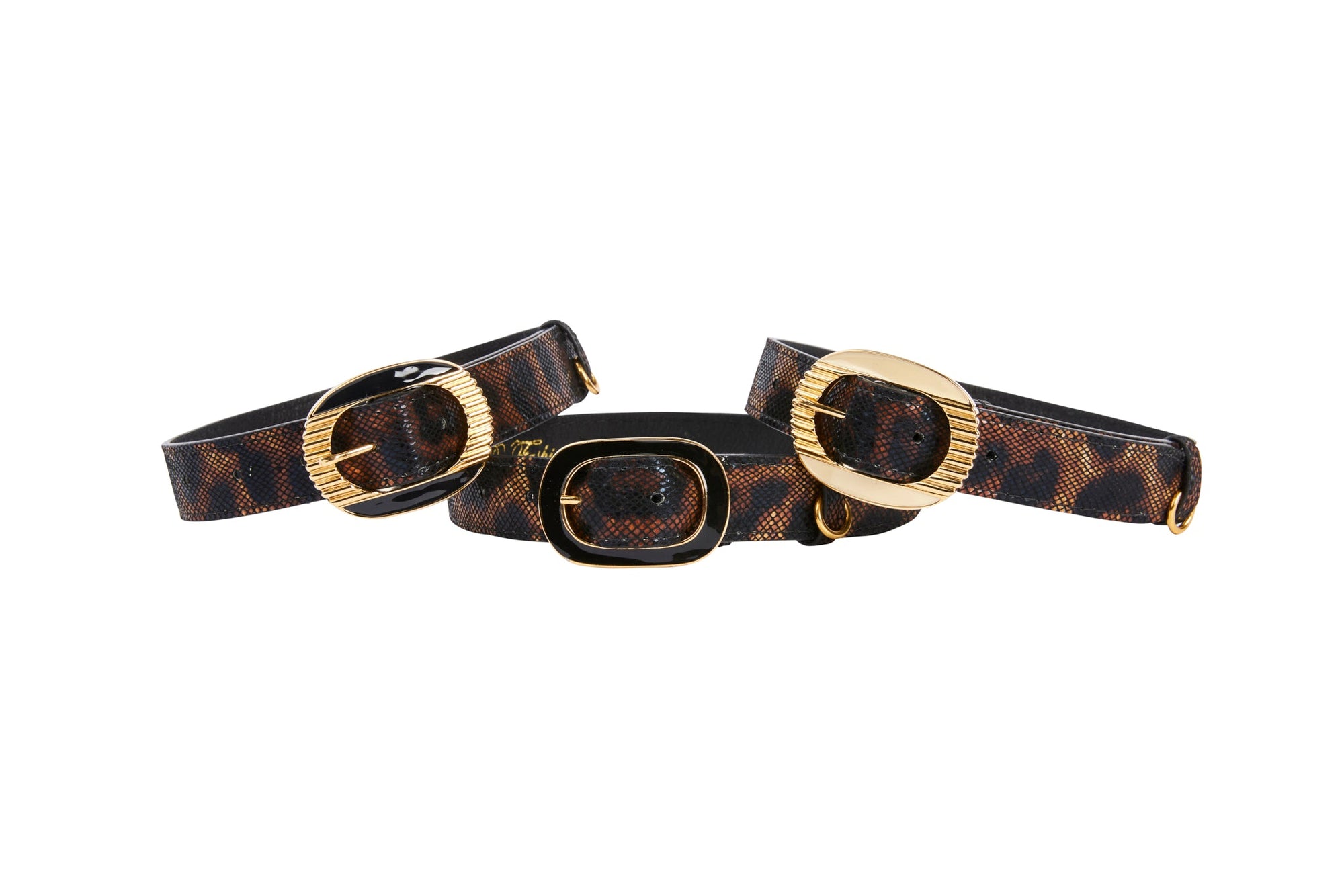 Allysa Payne Abstract Leopard Print Italian Leather Dog Collar With Ornate Italian Hardware Set Of 3