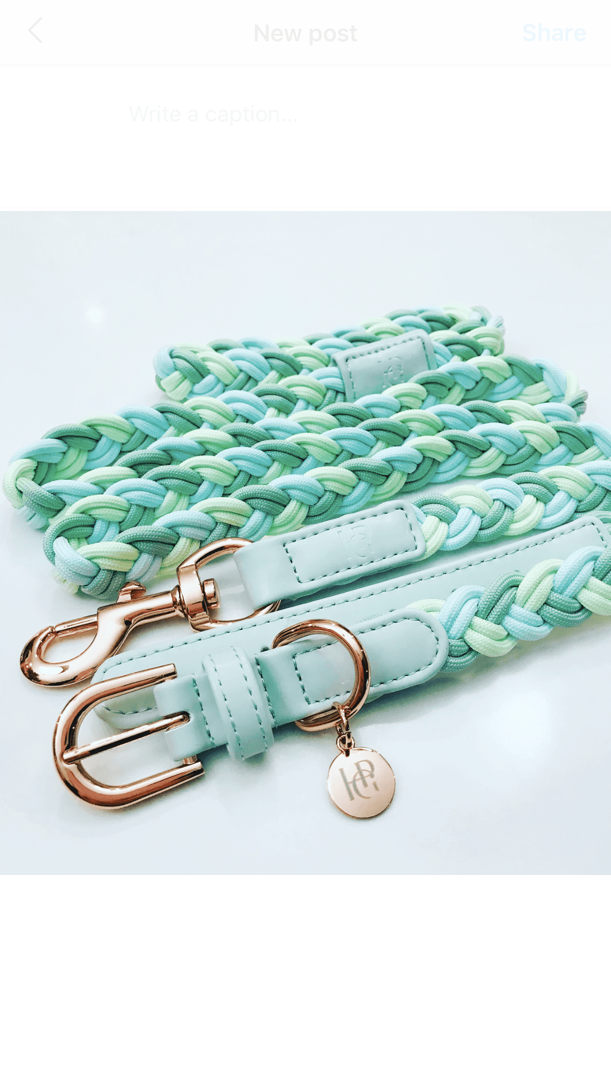 Dog Lead Aquamarine Plaited