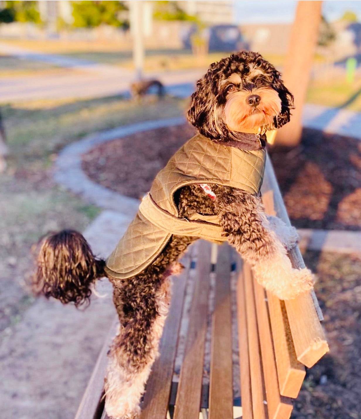 (NEW)The Olive Wrap Coat