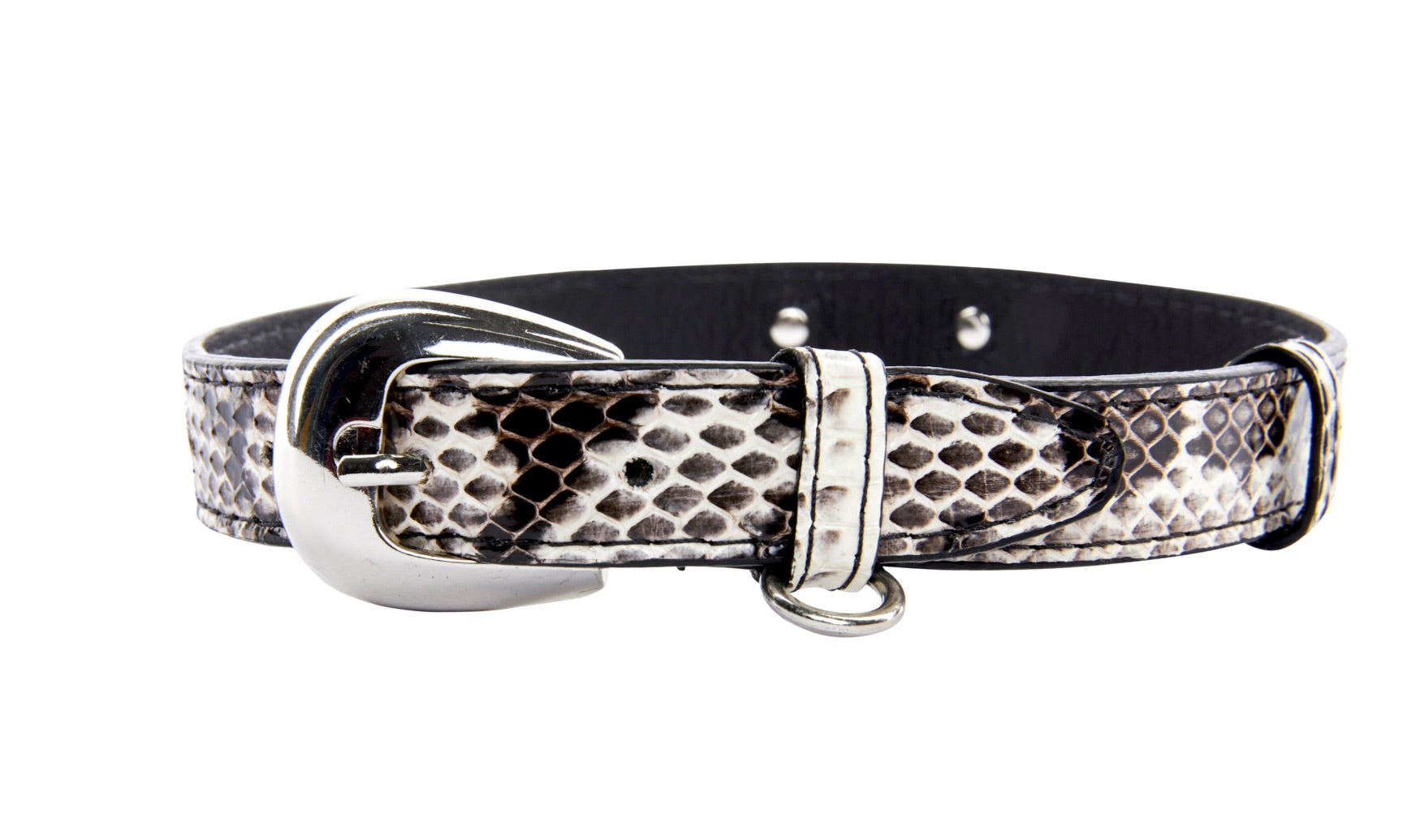 Allysa Payne Black & White Viper Snake Dog Collar With Silver Oval Italian Hardware