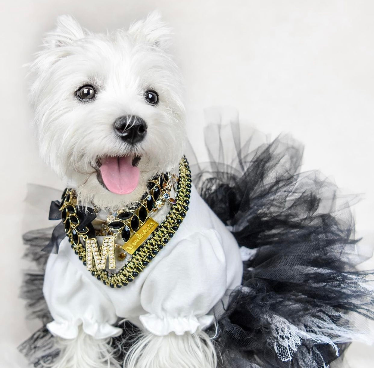 Celebrations : The Mia