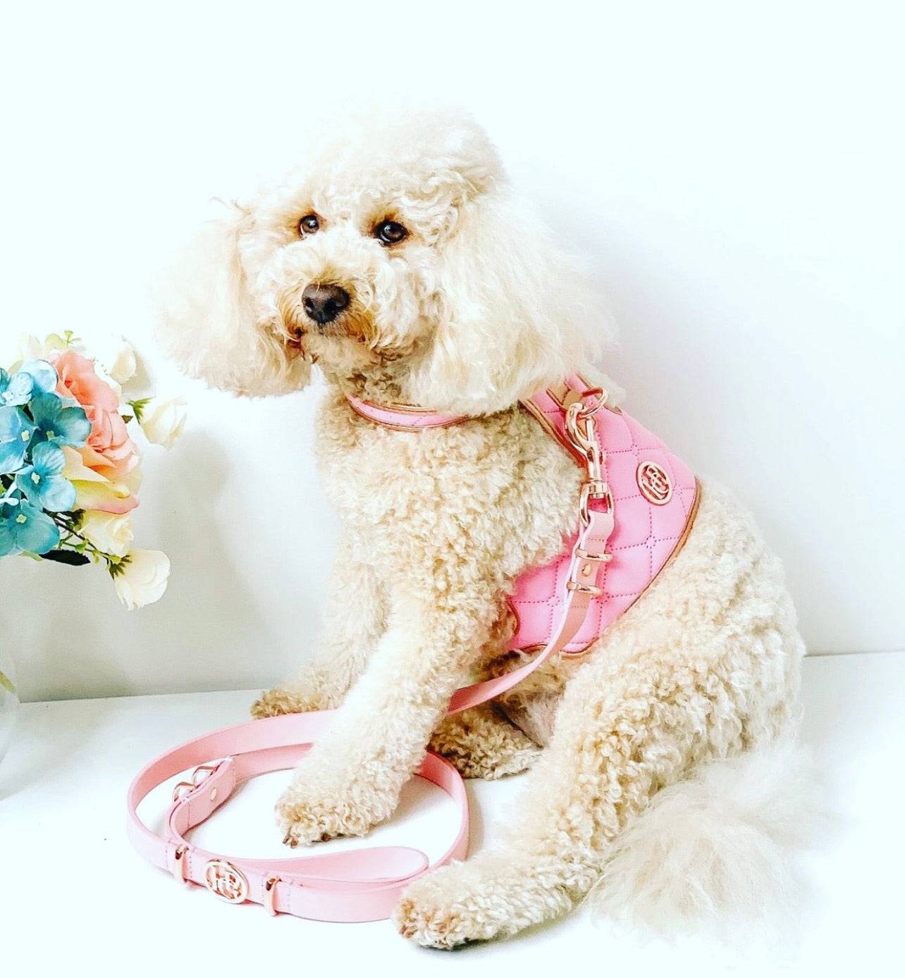 The Peony Dog Harness