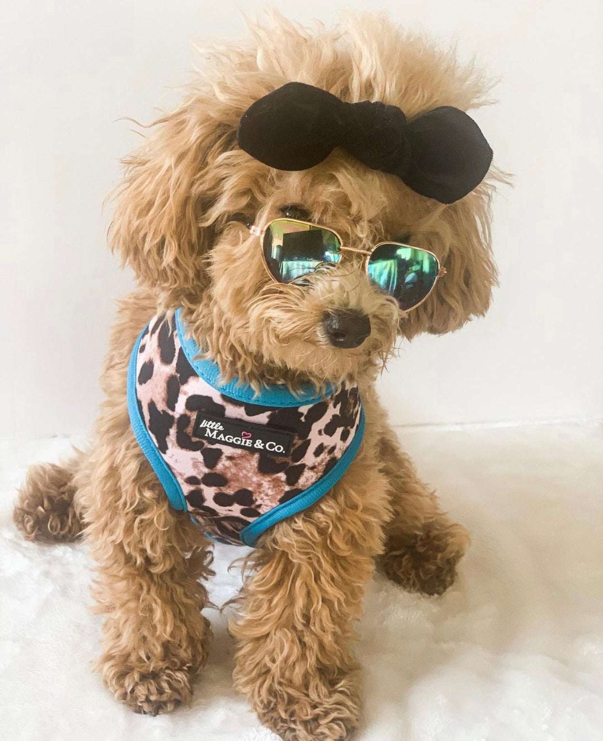 Exotic Reversible Harness