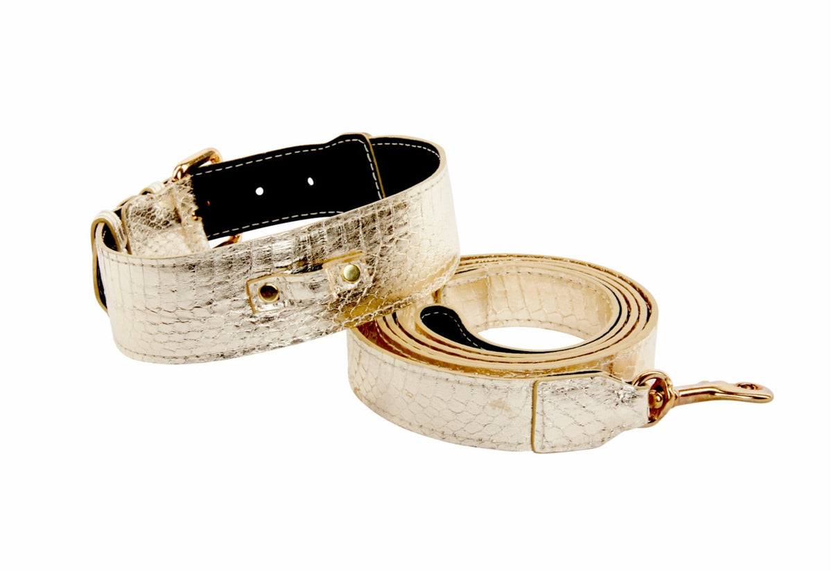 Allysa Payne Gold Snake With Classic Hardware Dog Collar & Leash Set