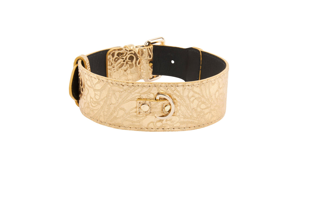 Allysa Payne Gold Floral Print Italian Leather With Gold Classic Dog Collar Hardware
