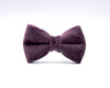 Velvet: The Susana Hair Bow