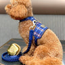 The Tommy Dog Harness