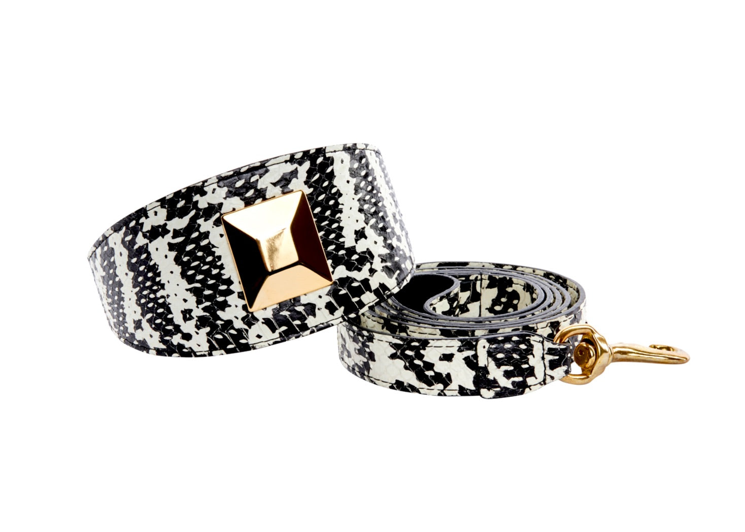 Allysa Payne Black & White Snake 3-Inch Wide Style With Large Gold Custom Rivet Dog Collar & Leash Set
