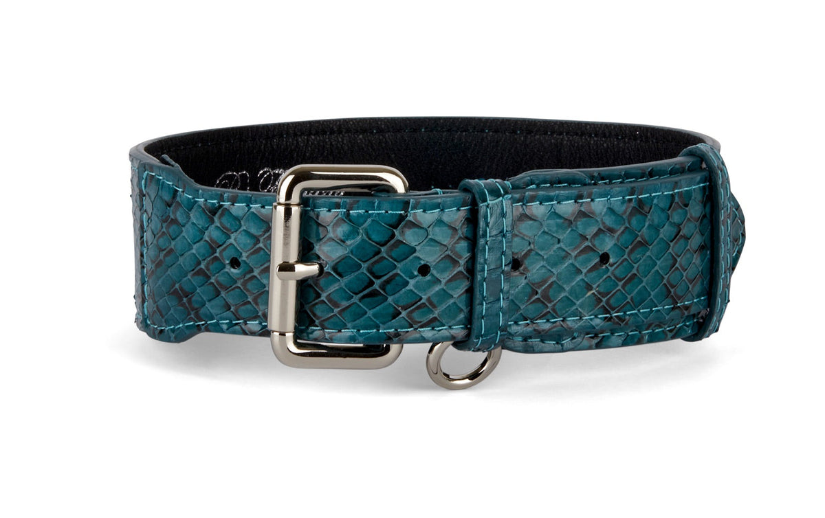 Allysa Payne Teal and Black Snake Classic Dog Collar