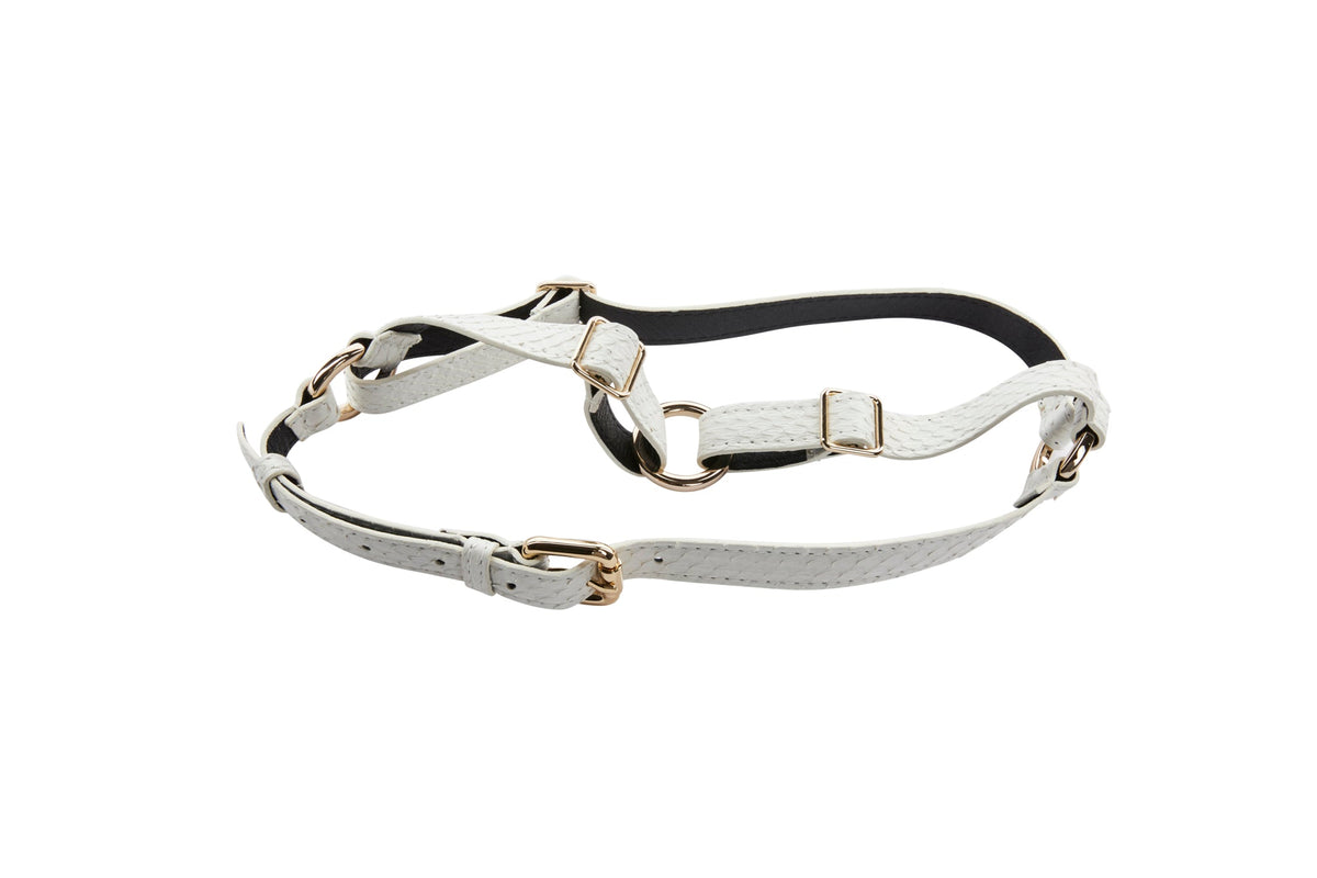 Allysa Payne Matte White Snake Dog Harness With Gold Hardware