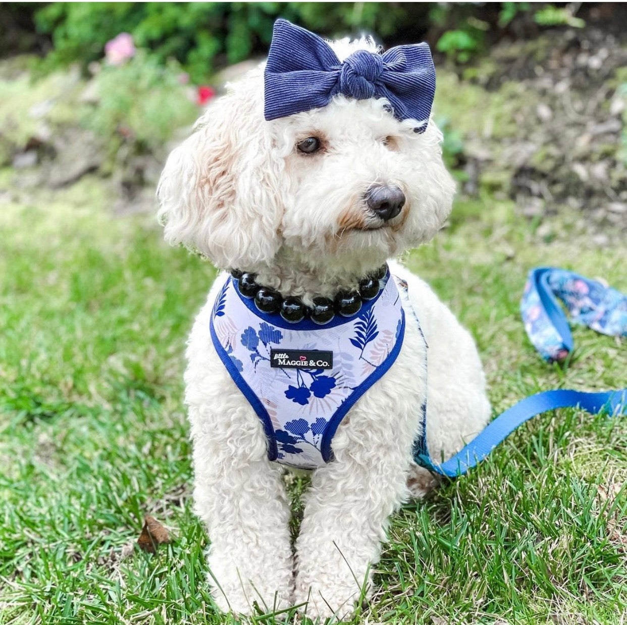 Breezy Reversible Harness