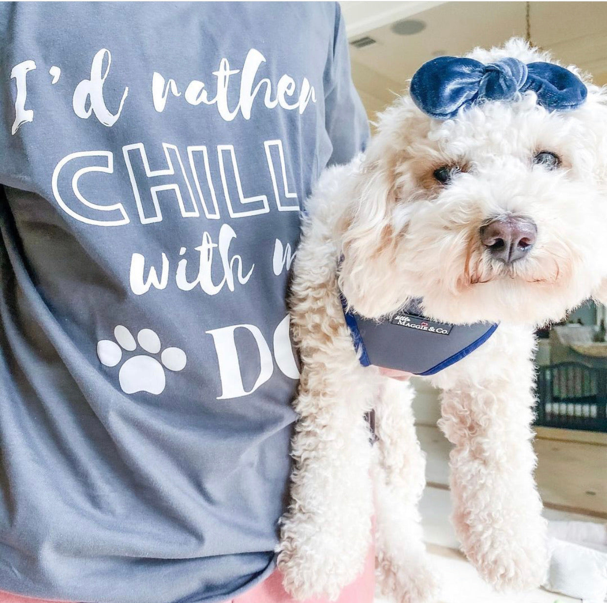 T-Shirt: My Dog in Grey