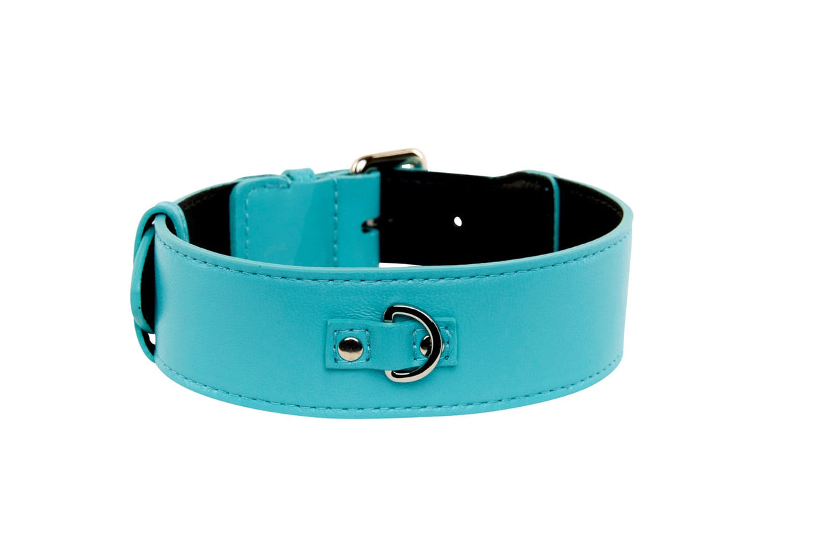 Allysa Payne Turquoise Blue Italian Leather Classic Dog Collar/Silver Classic Hardware