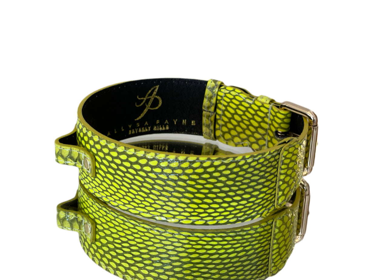 Allysa Payne Luxury Pet Fashion Neon Green Snakeskin Dog Collar/Classic Hardware