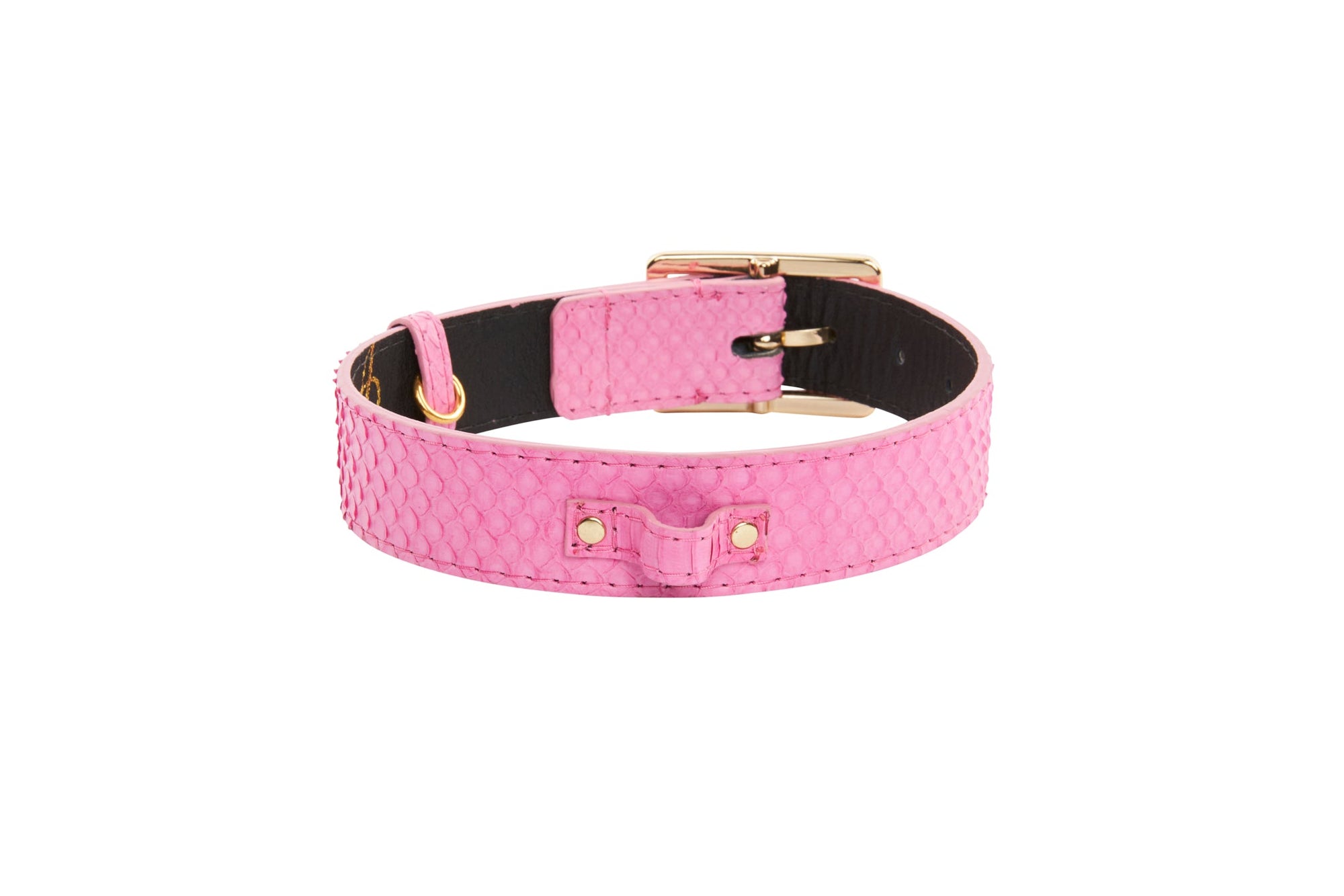 Allysa Payne Luxury Pet Fashion Neon Pink Snake Dog Collar With Our Modern Gold Hardware