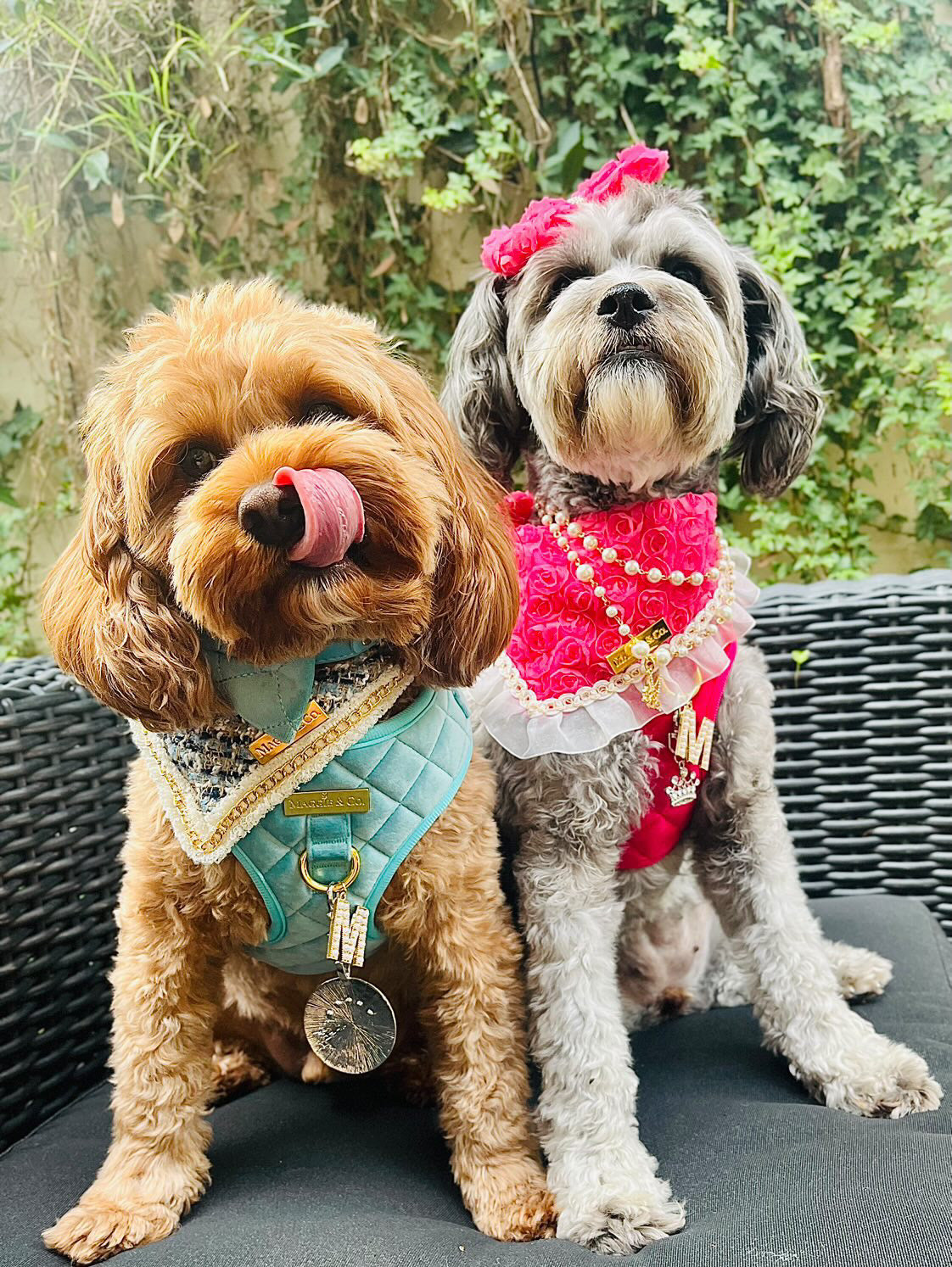 Forever Bliss: Miss Bailey