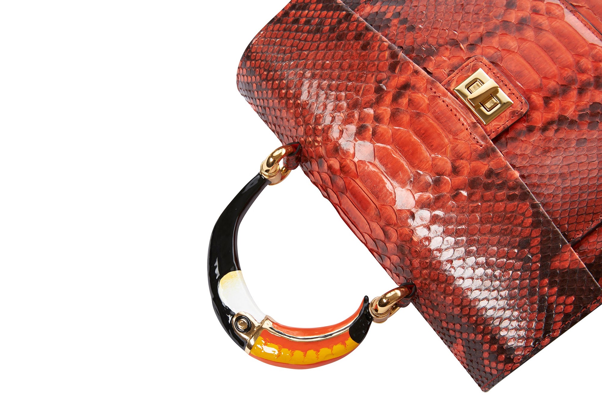 Allysa Payne The Toucan Handbag