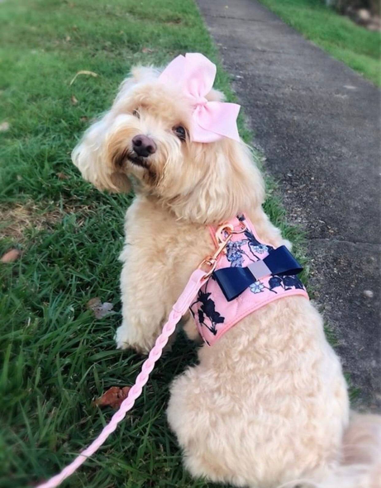 The Blossom Dog Harness