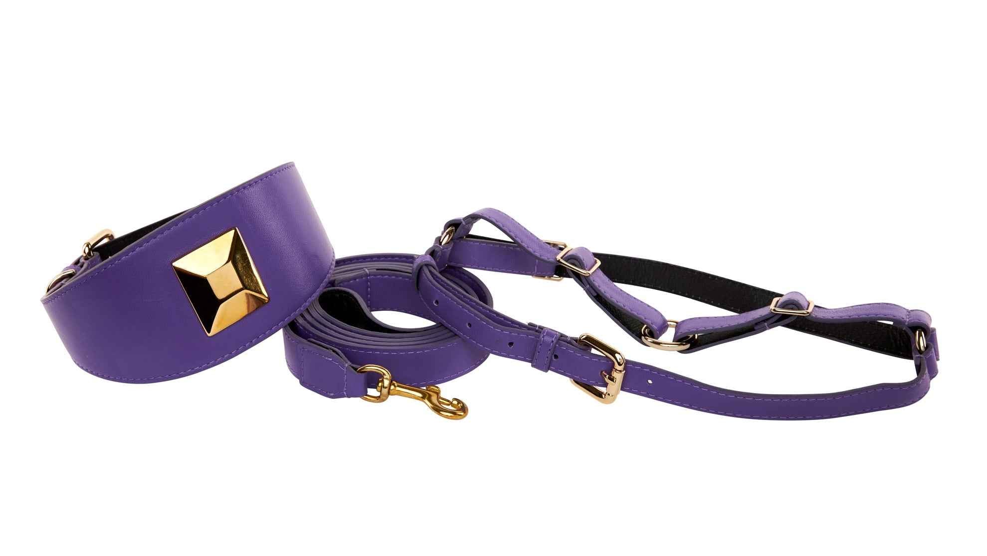 Allysa Payne Purple Italian Leather 3-Inch Wide Style Dog Collar, Leash & Harness Set