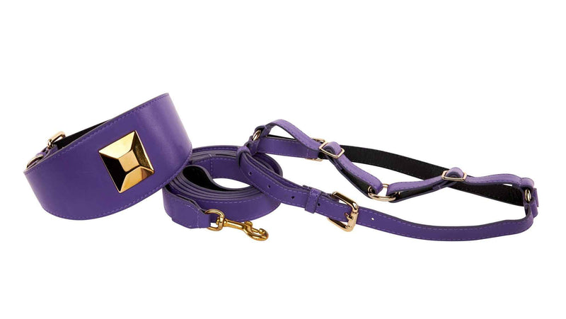 Allysa Payne Purple Italian Leather 3-Inch Wide Style Dog Collar, Leash & Harness Set