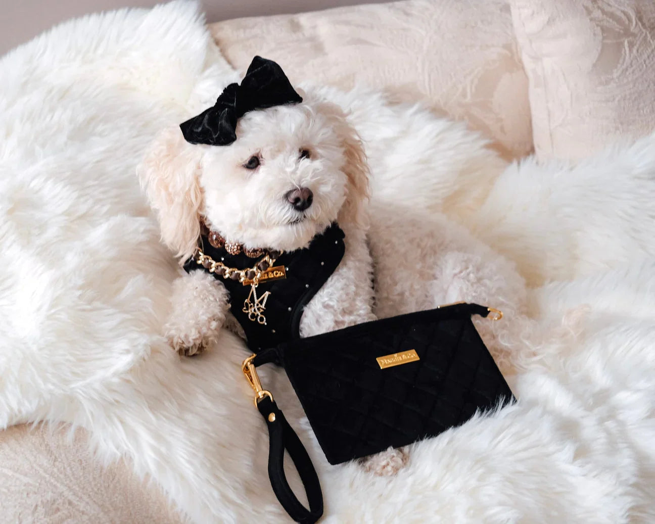 Black Diamond Wristlet