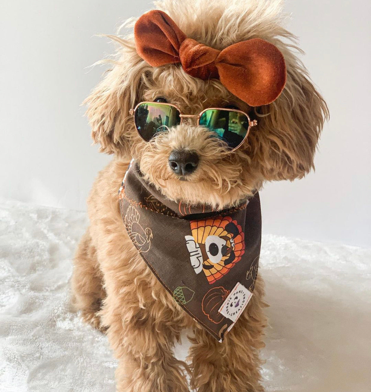 Velvet Bow: Sun Kissed