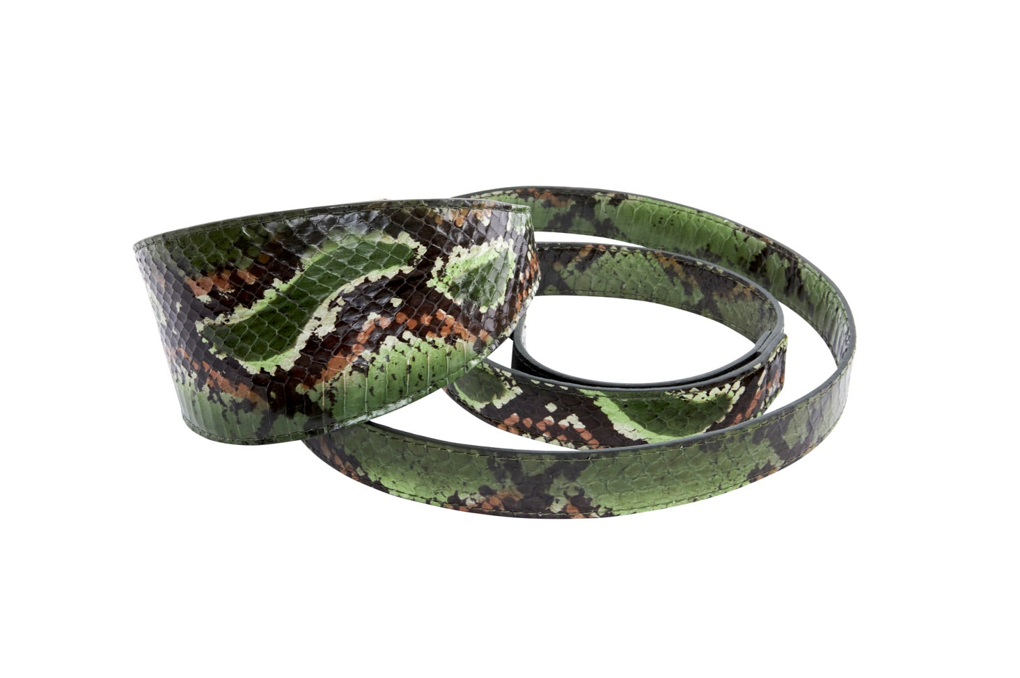 Allysa Payne Multi Color Green Snake 3-Inch Wide Style Dog Collar & Leash Set