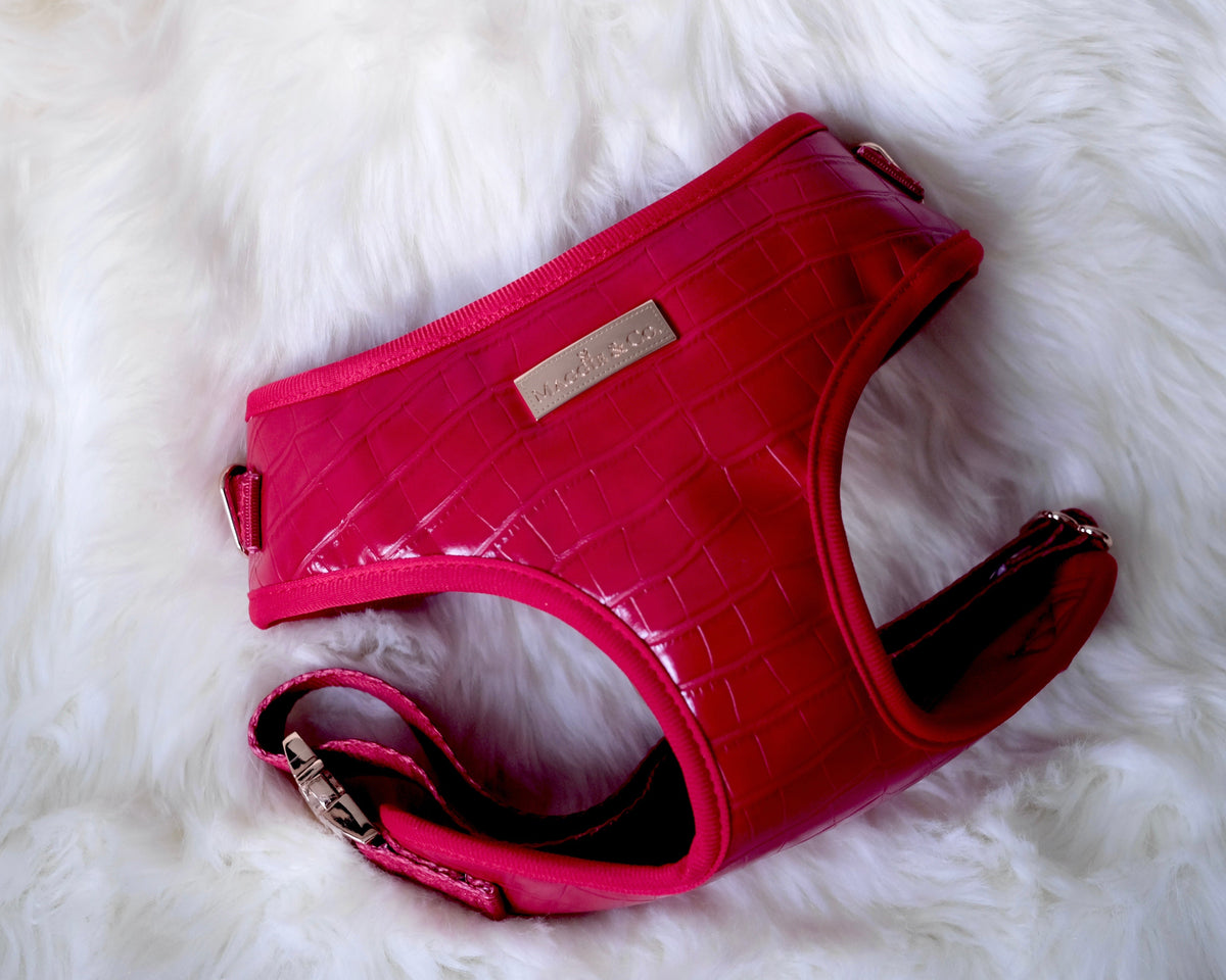 The Ruby Harness