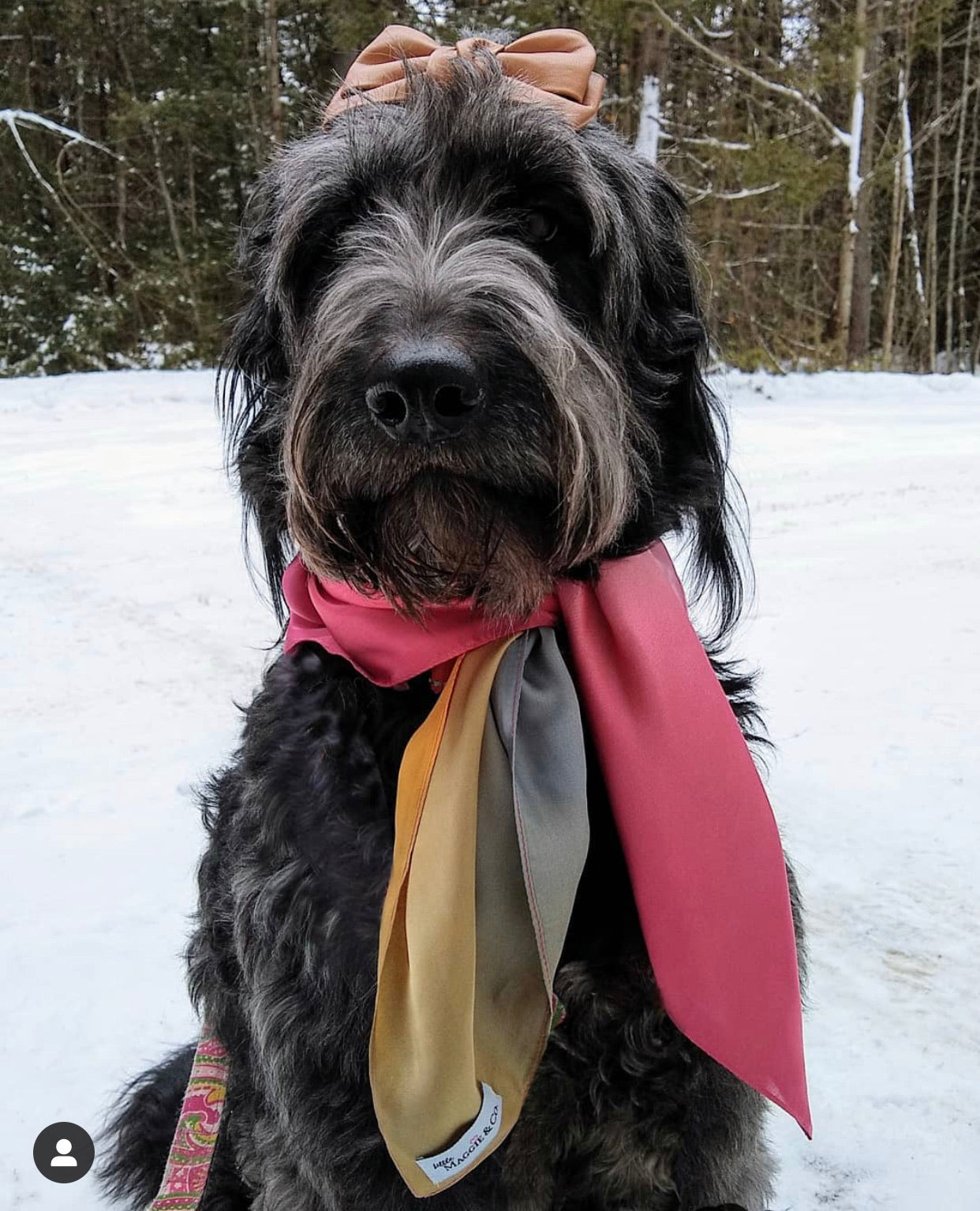 Leather Bow: Cocoa Bean