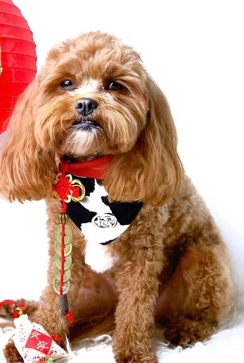 The Jessie Scarf - No.1