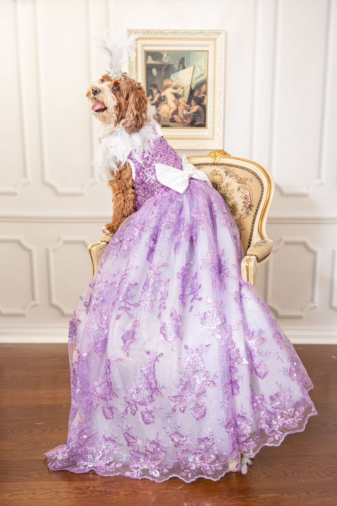 Feather Collar Collection: Fantasy