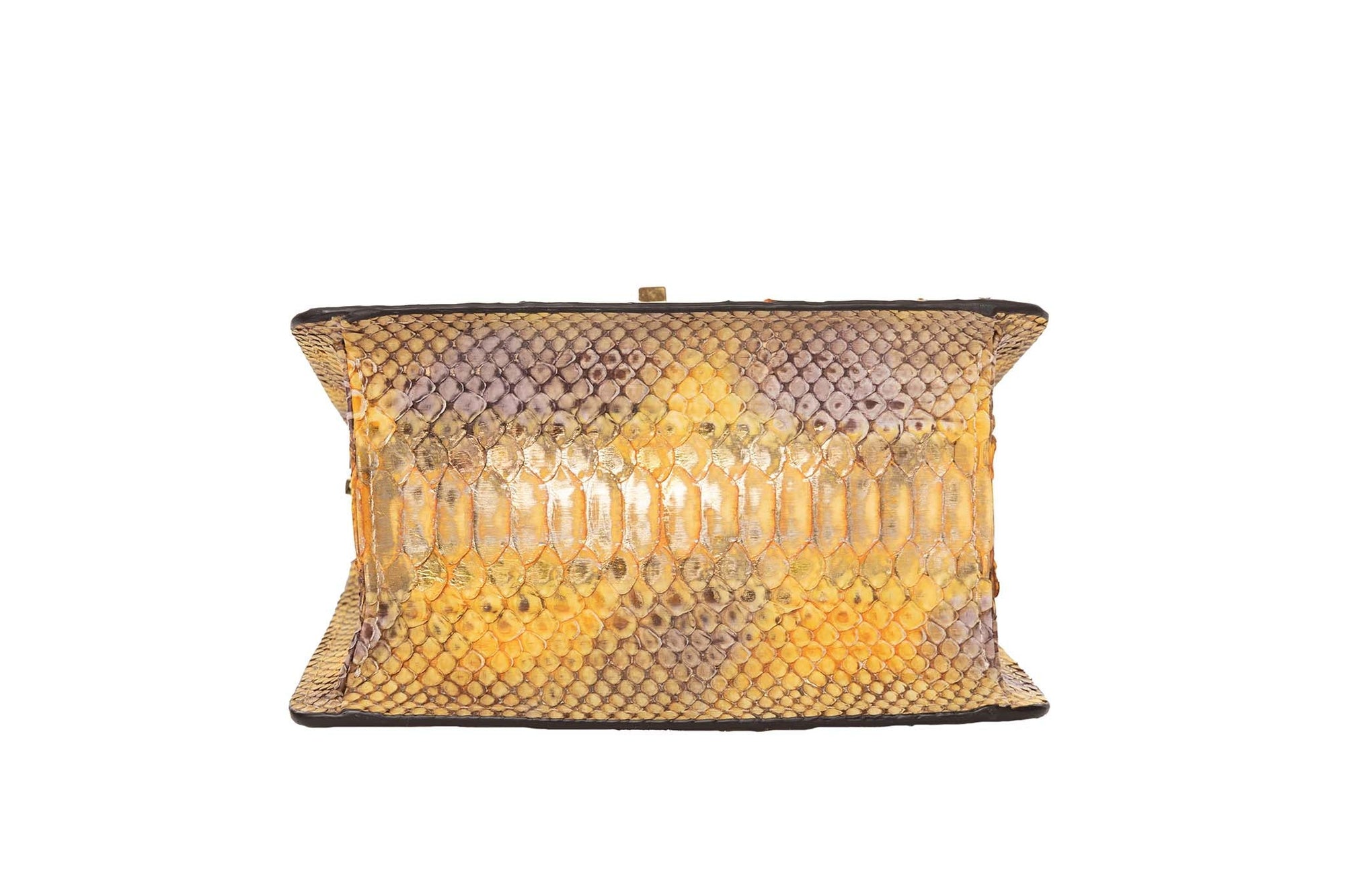 Allysa Payne Tiger Bag