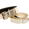 Gold Snake Collar & Leash Set With Classic Hardware