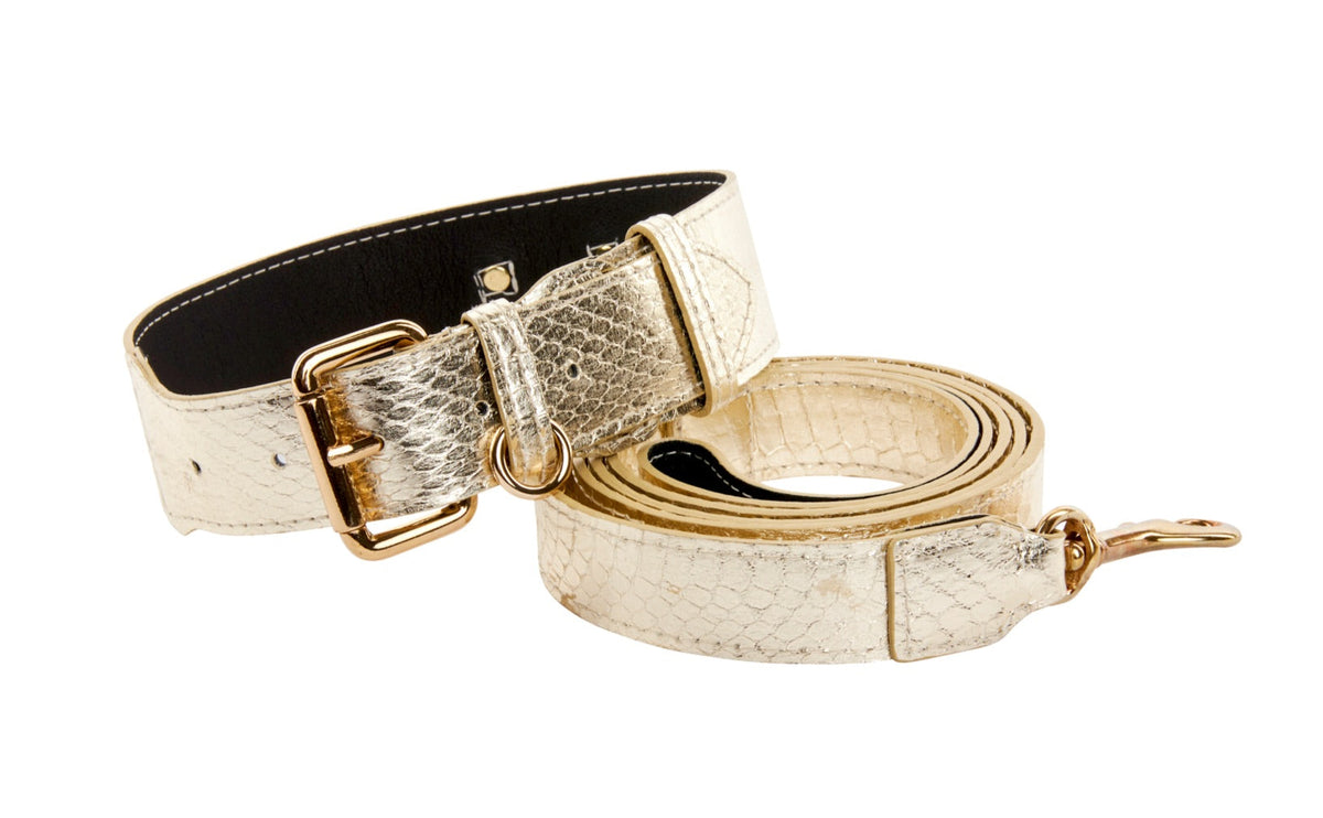 Allysa Payne Gold Snake With Classic Hardware Dog Collar & Leash Set