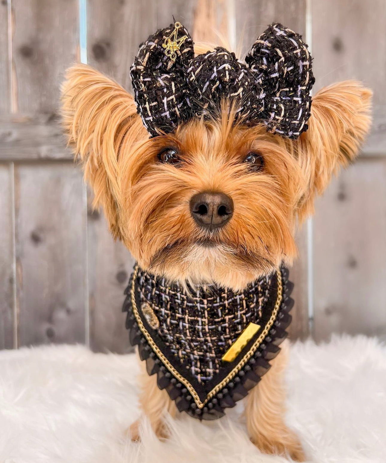 Special Edition: The Lincoln