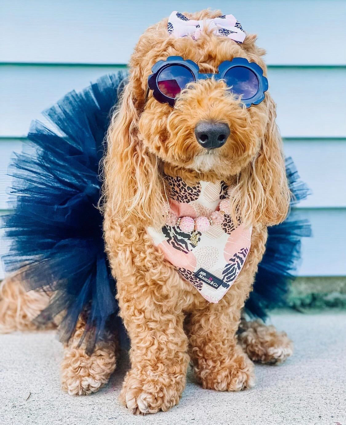 Bandana Set: Pawty Animal