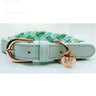 Dog Collar Aquamarine Plaited